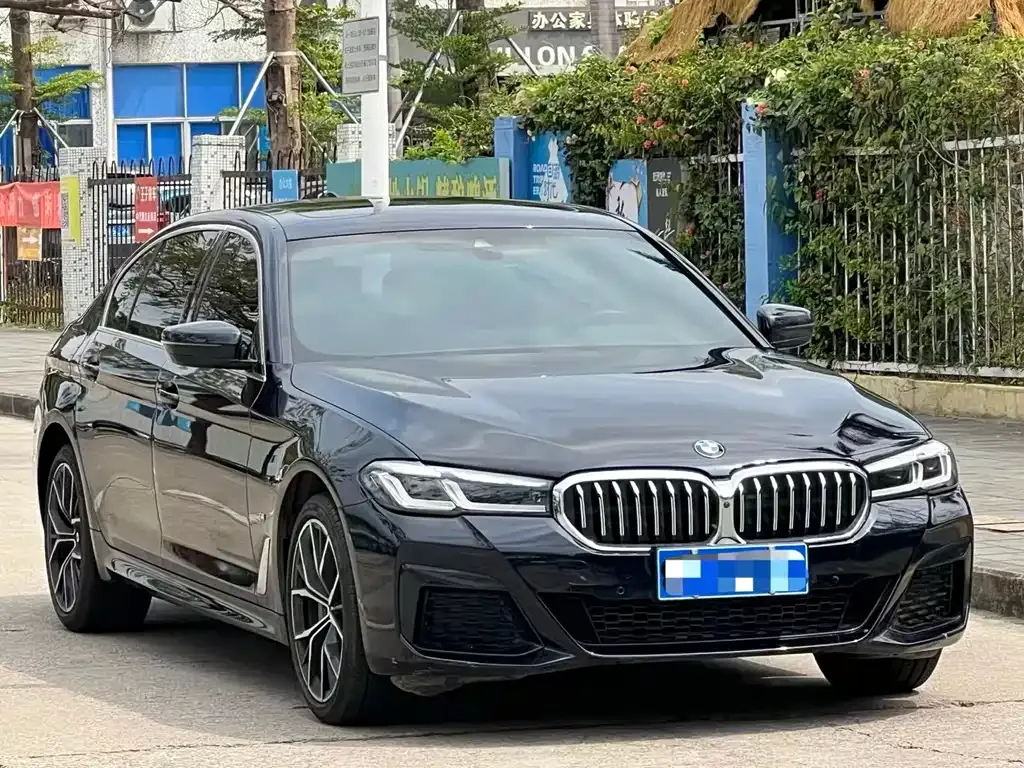 BMW 5 Series 2023 из CN, фото 6