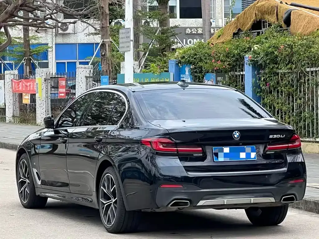 BMW 5 Series 2023 из CN, фото 4