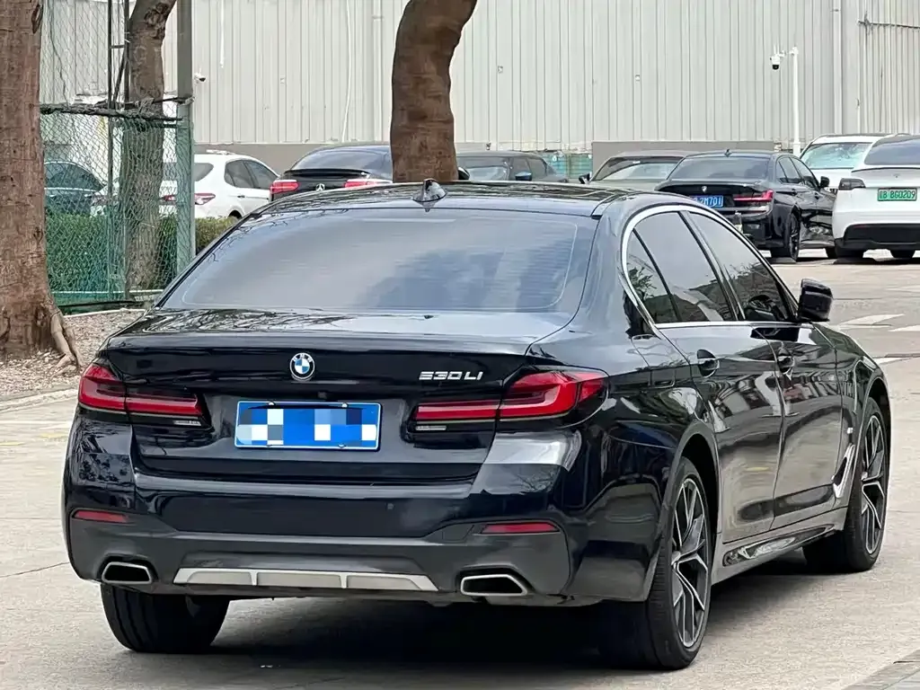 BMW 5 Series 2023 из CN, фото 8