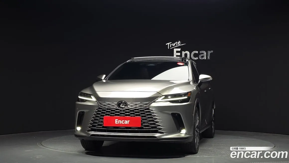 Lexus RX 2024 из KR, фото 8