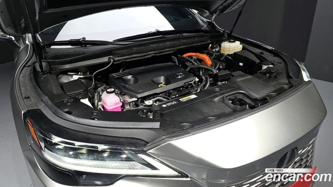Lexus RX 2024 из KR, фото 10