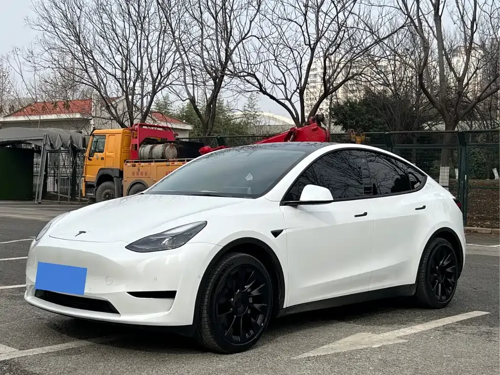 Tesla Model Y — фото 1