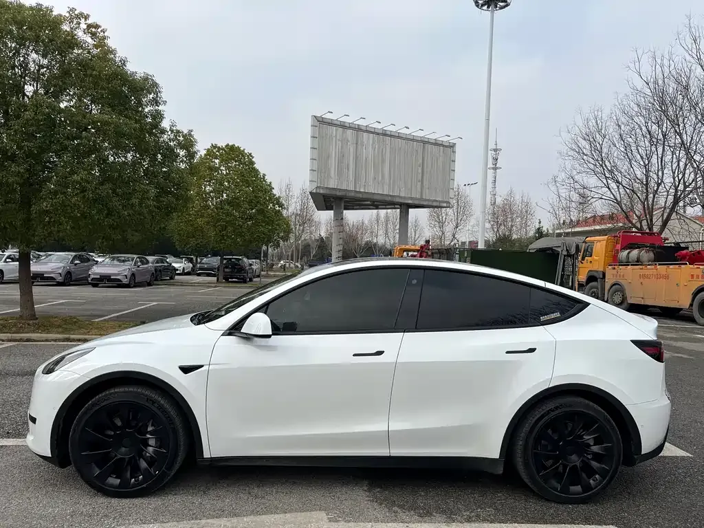 Tesla Model Y — фото 9
