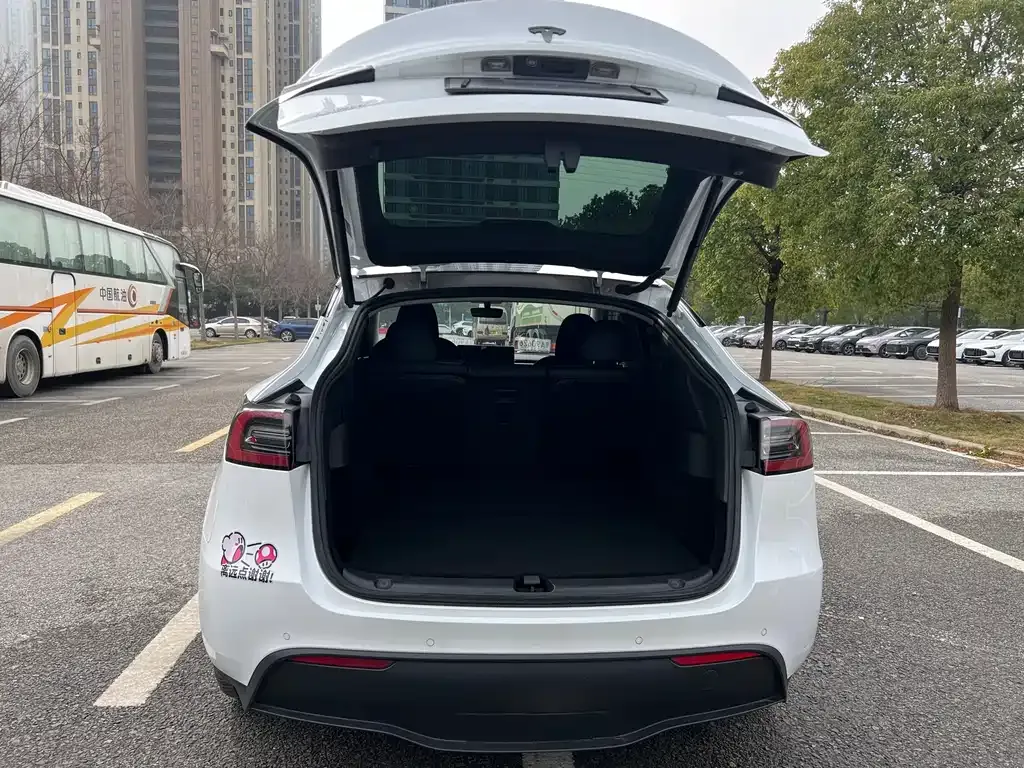 Tesla Model Y — фото 10