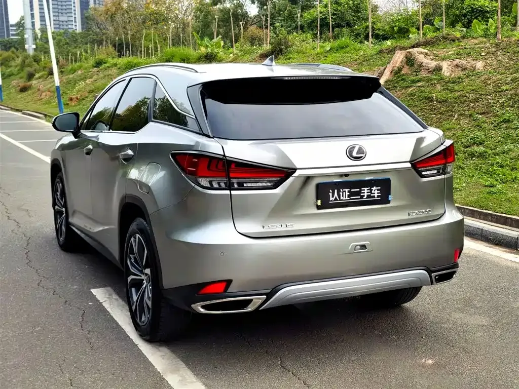 Lexus RX — фото 8
