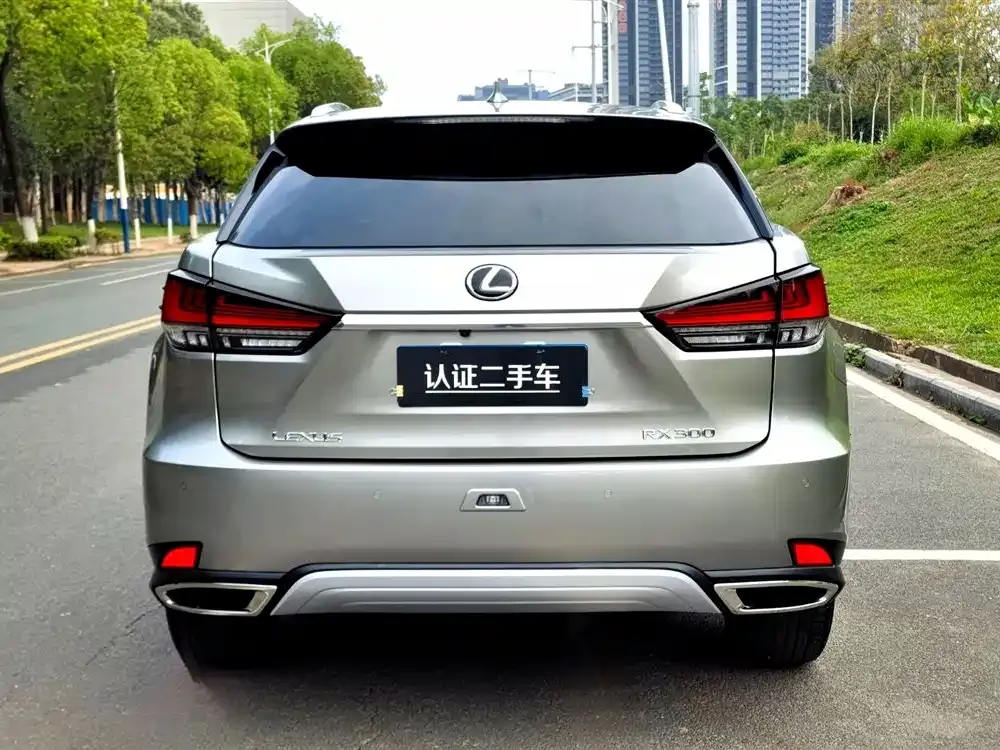 Lexus RX — фото 5