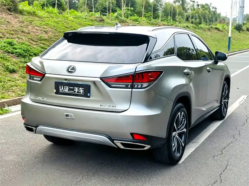 Lexus RX — фото 3