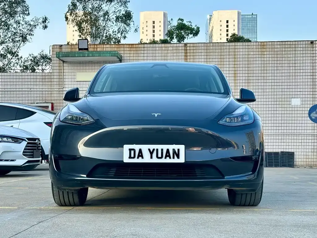Tesla Model Y — фото 8