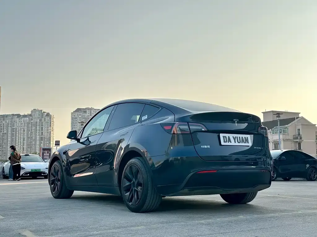 Tesla Model Y — фото 2