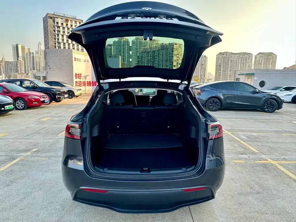 Tesla Model Y — фото 9
