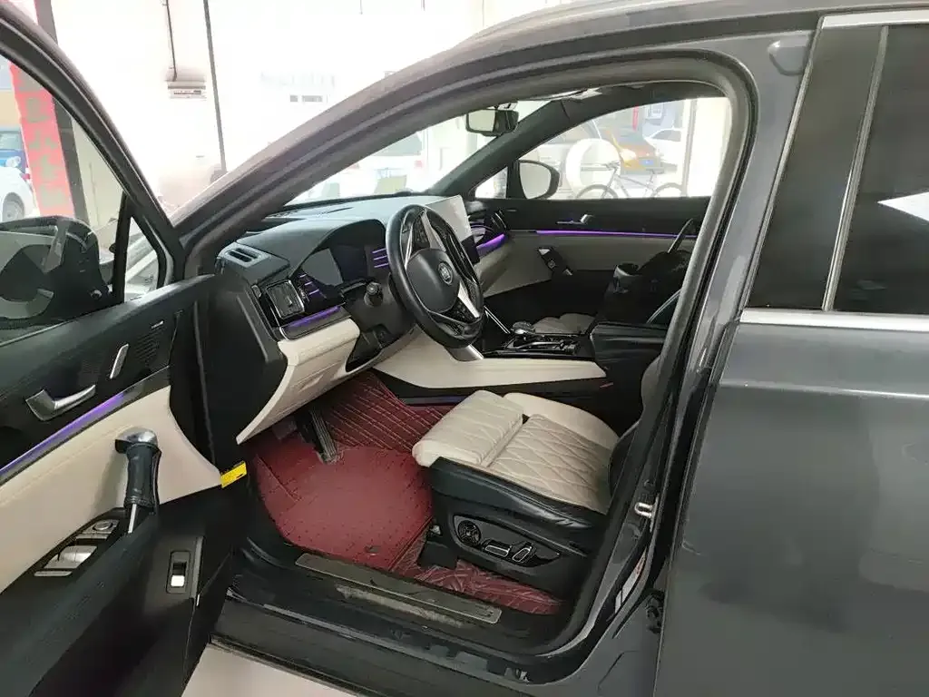 BYD Tang New Energy 2022 из CN, фото 10