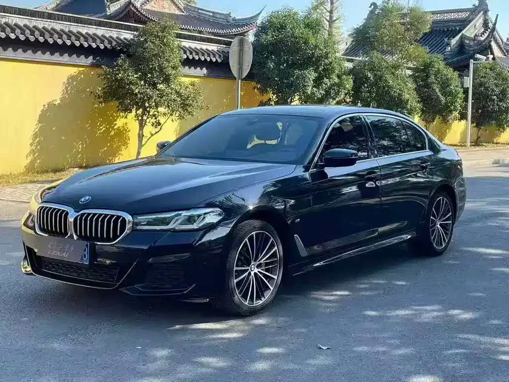 BMW 5 Series 2022 из CN, фото 1