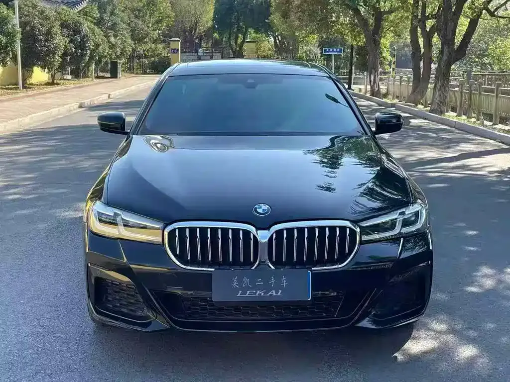 BMW 5 Series 2022 из CN, фото 8