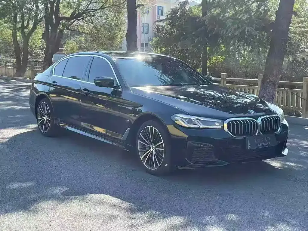 BMW 5 Series 2022 из CN, фото 2
