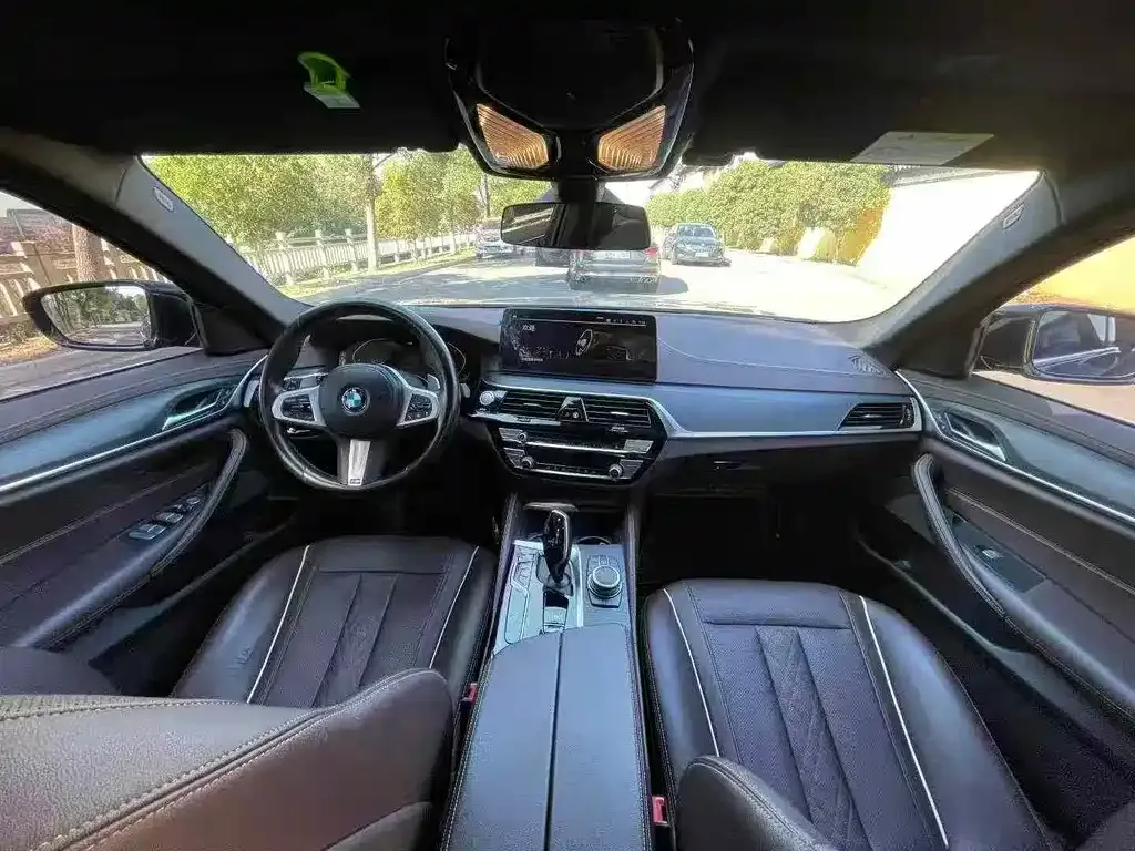 BMW 5 Series 2022 из CN, фото 3
