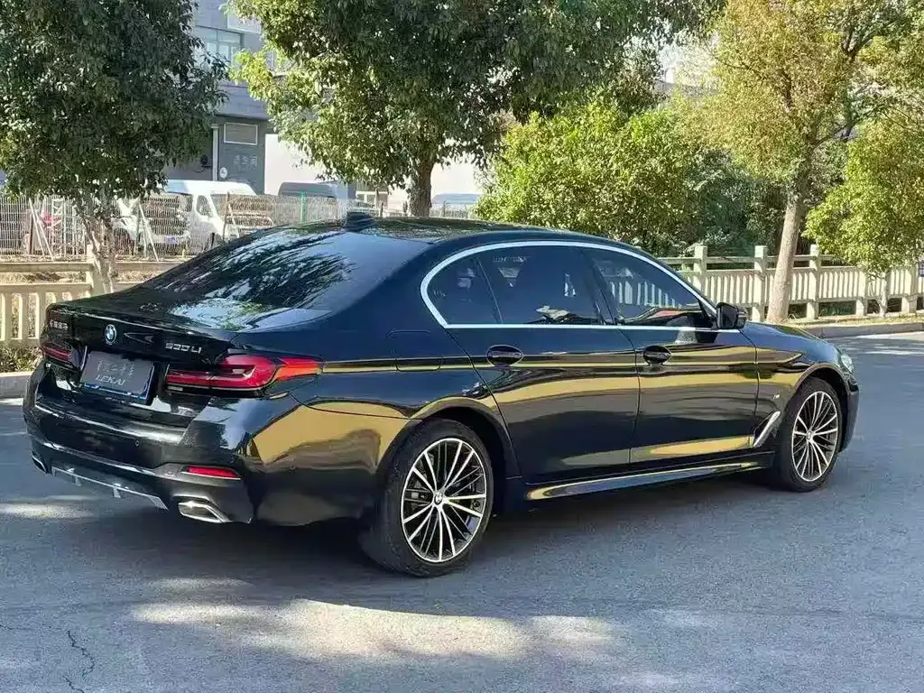 BMW 5 Series 2022 из CN, фото 7