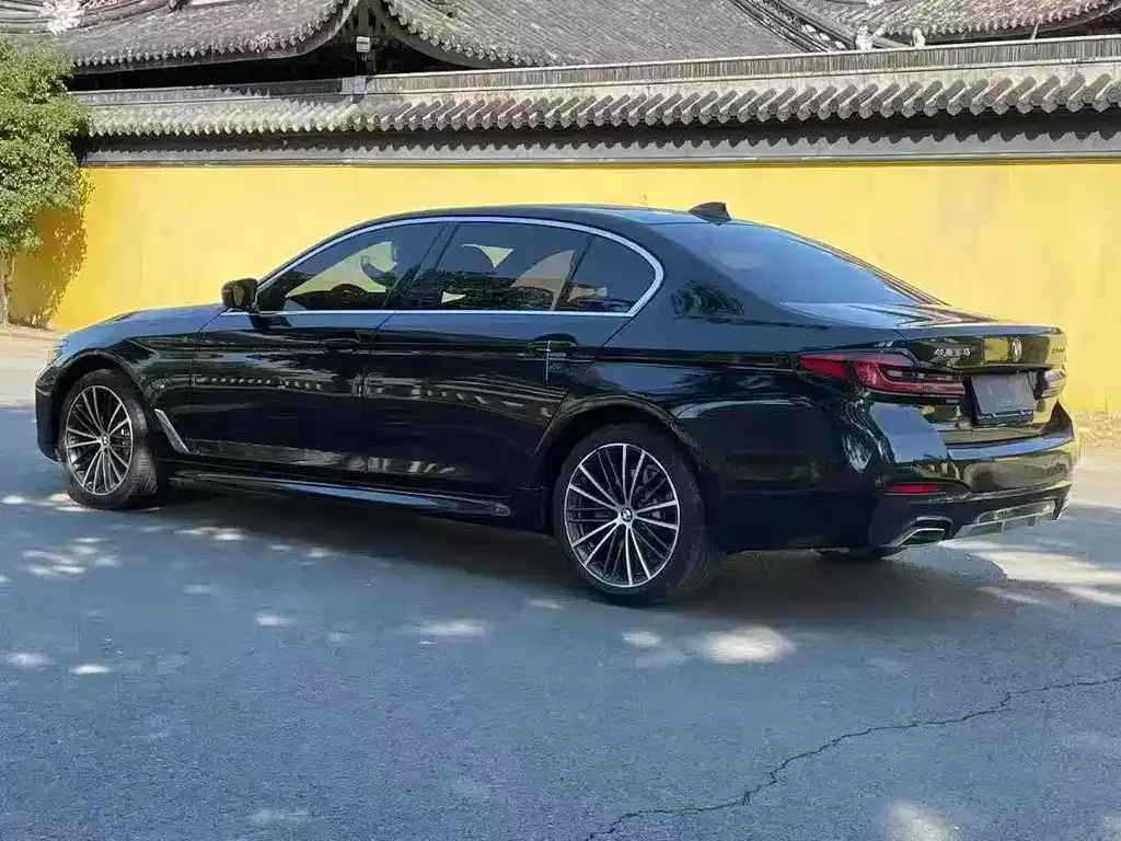 BMW 5 Series 2022 из CN, фото 9