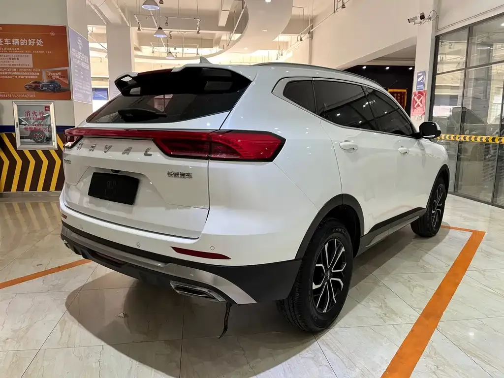 Haval H6 2023 из CN, фото 5