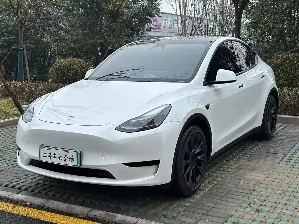 Tesla Model Y — фото 1