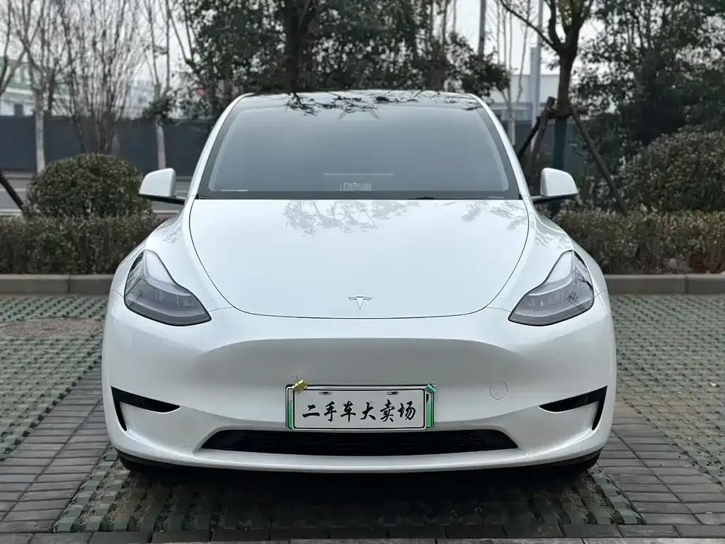 Tesla Model Y — фото 3