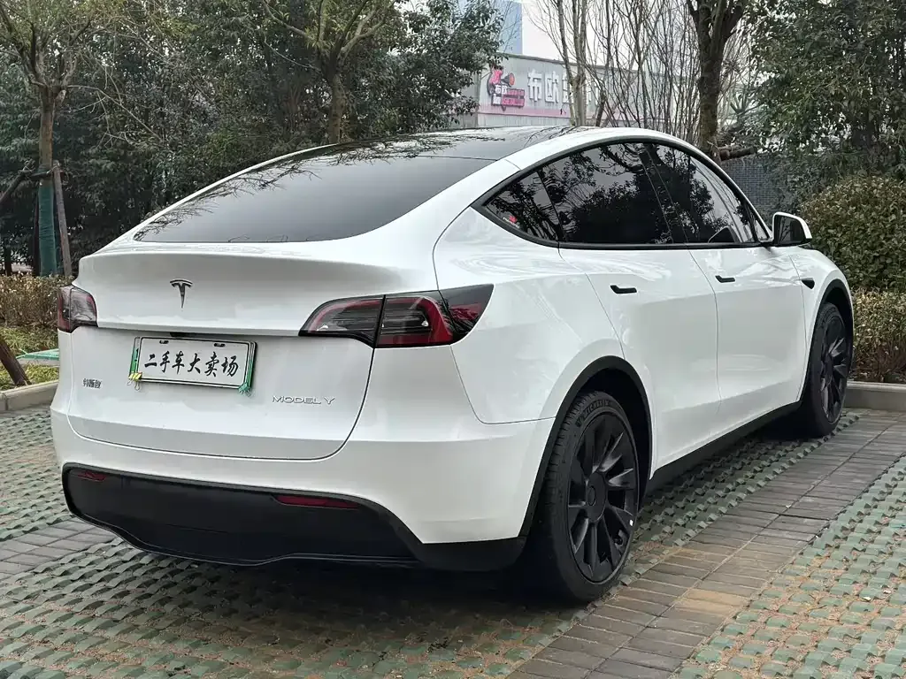Tesla Model Y — фото 9