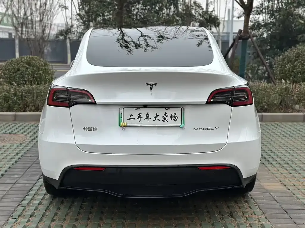 Tesla Model Y — фото 4