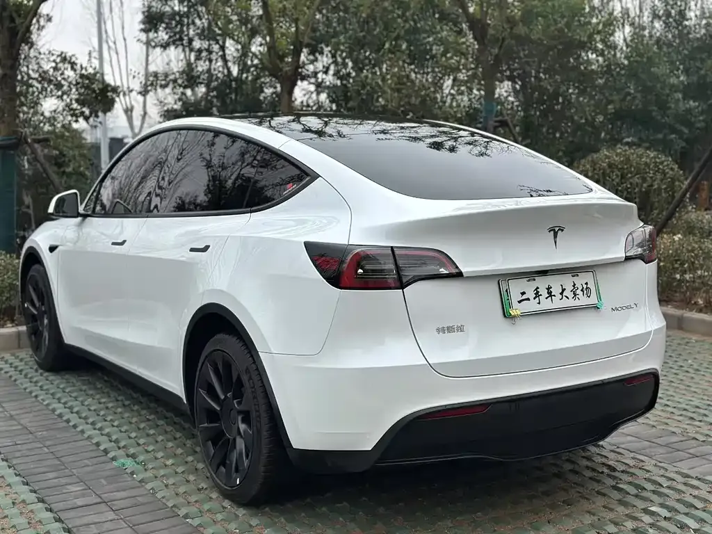 Tesla Model Y — фото 8