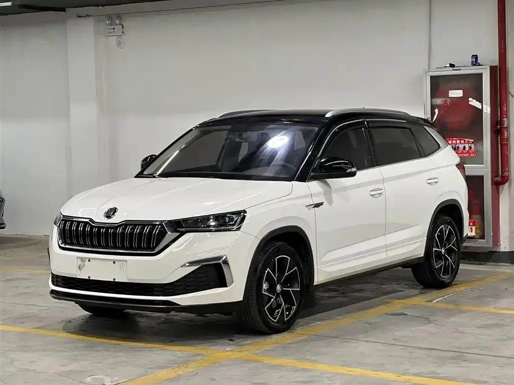 Skoda Kamiq 2022 из CN, фото 1