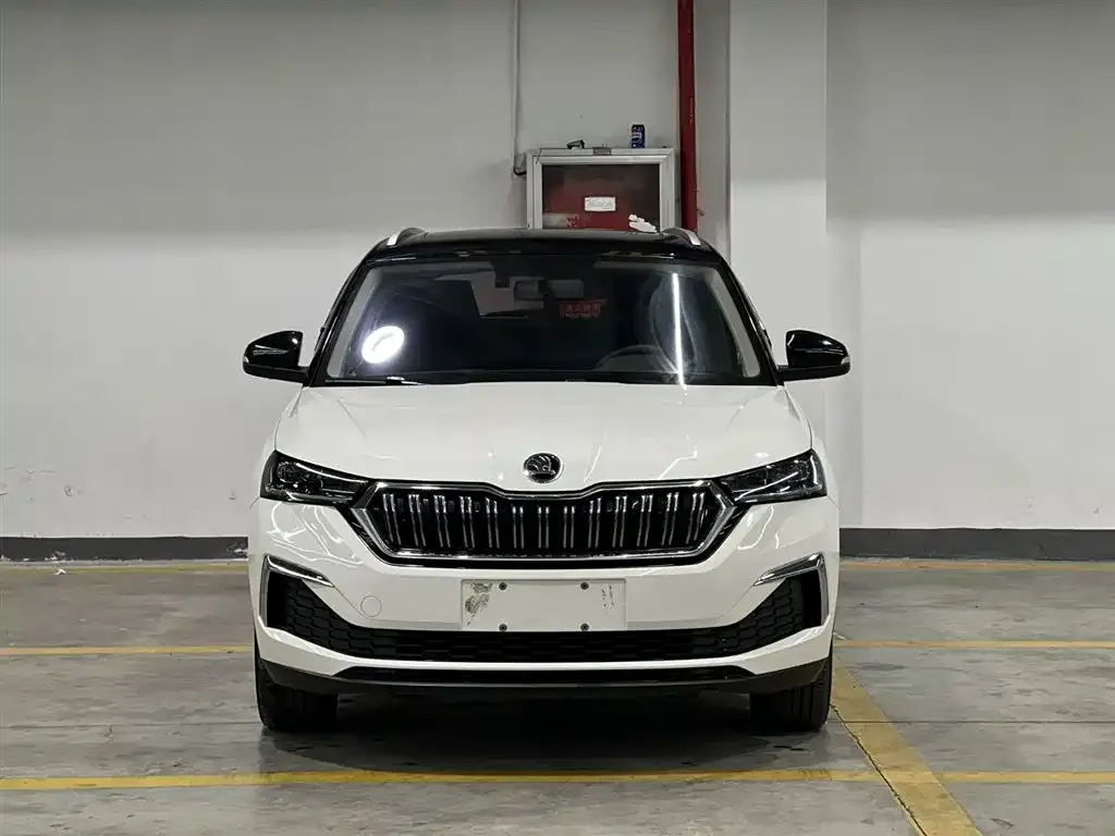 Skoda Kamiq 2022 из CN, фото 5