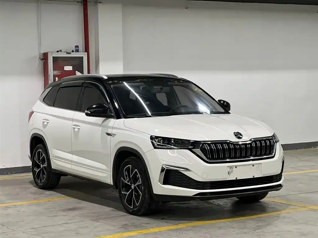Skoda Kamiq 2022 из CN, фото 6