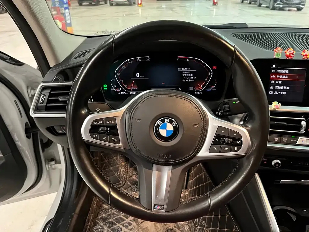 BMW 3 Series 2021 из CN, фото 7