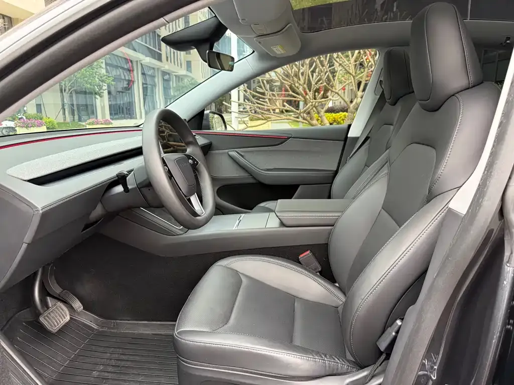 Tesla Model Y 2025 из CN, фото 4