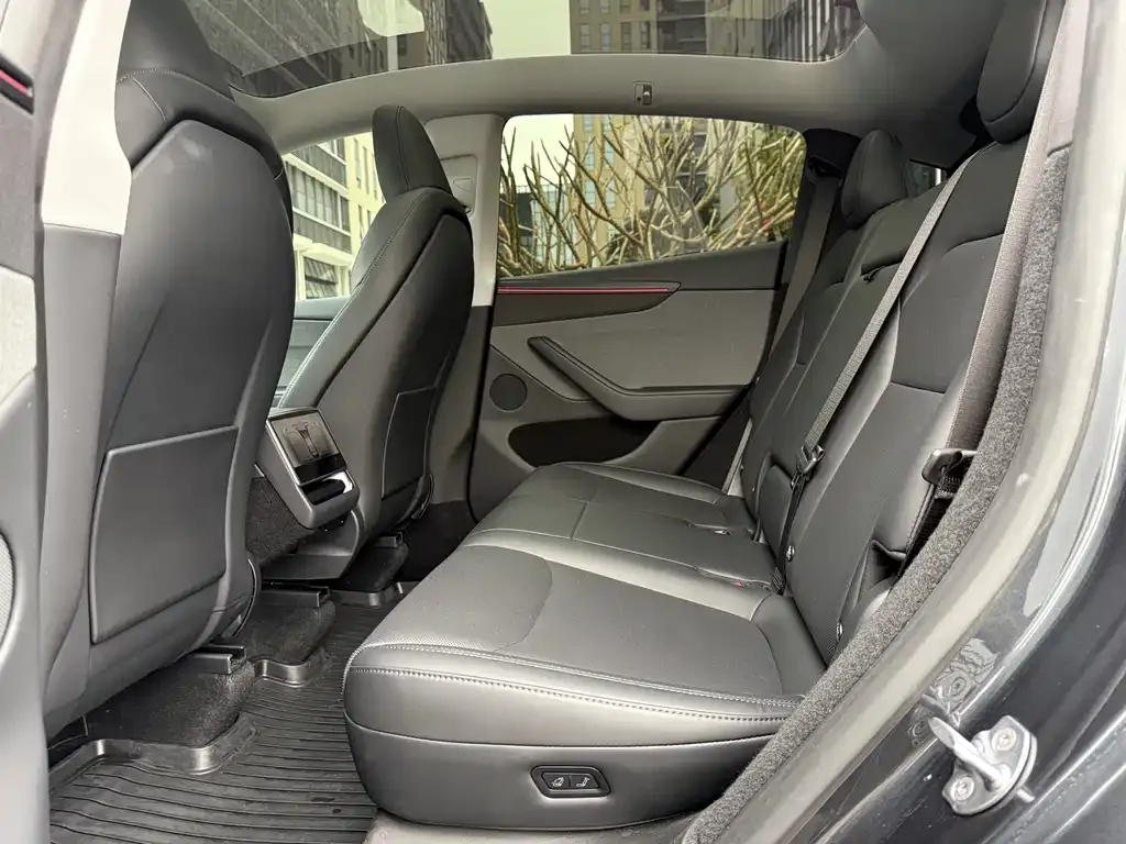 Tesla Model Y 2025 из CN, фото 6