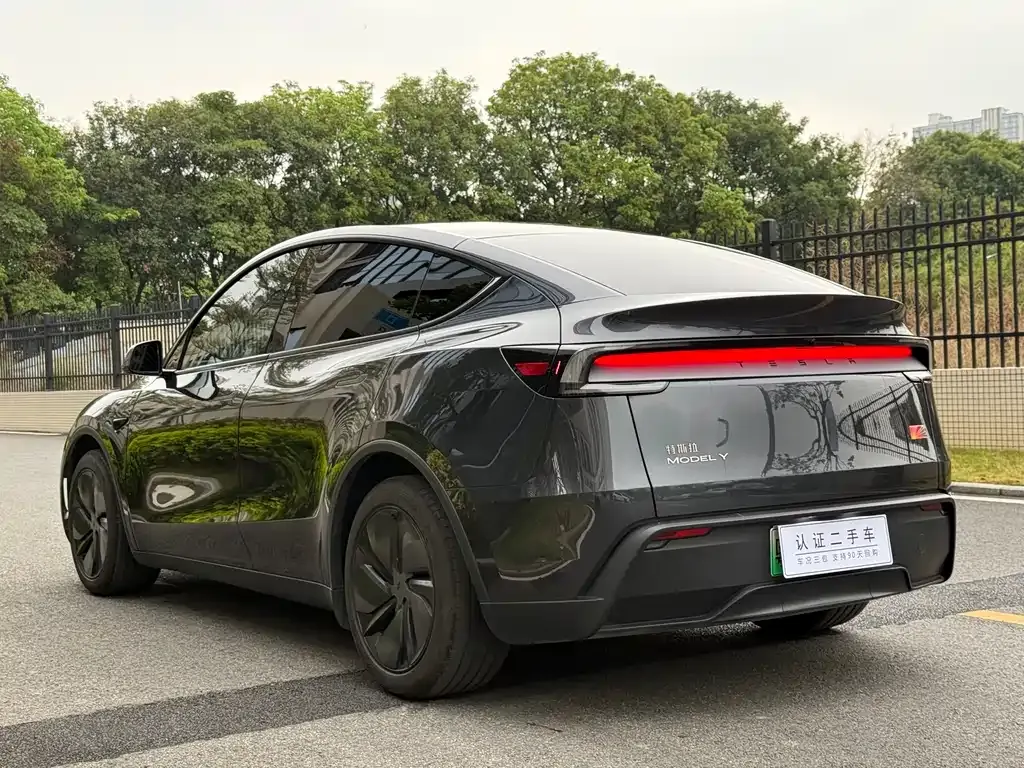 Tesla Model Y 2025 из CN, фото 9