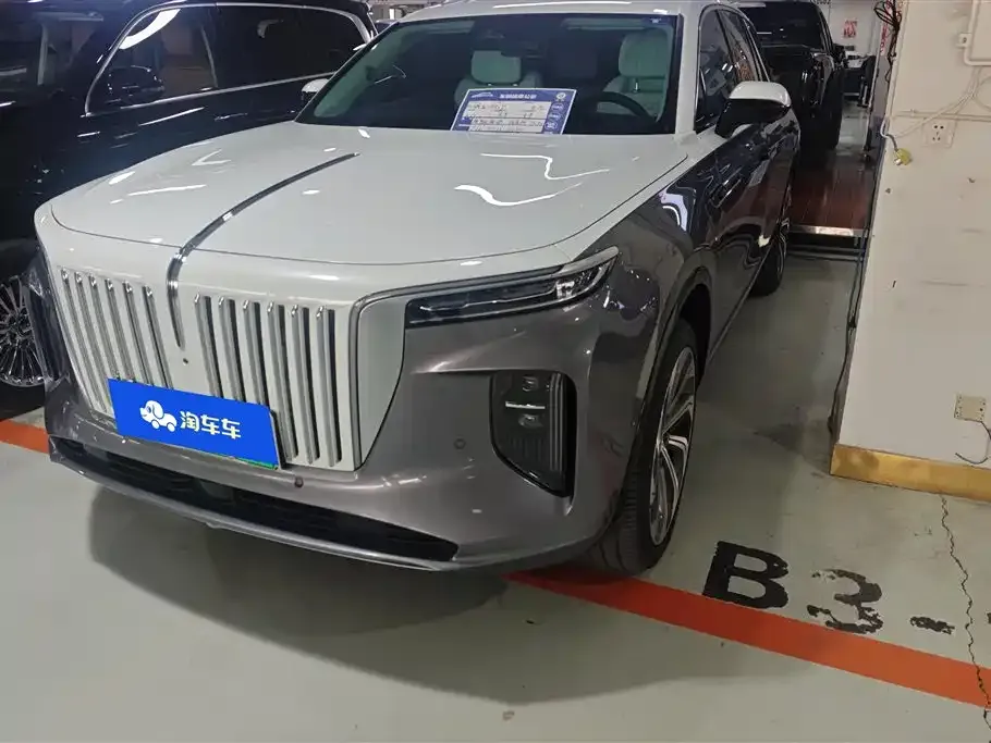 Hongqi E-HS9 2021 из CN, фото 1
