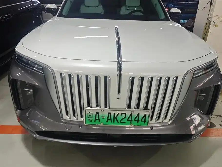 Hongqi E-HS9 2021 из CN, фото 7