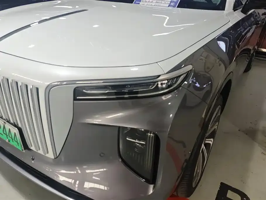 Hongqi E-HS9 2021 из CN, фото 6