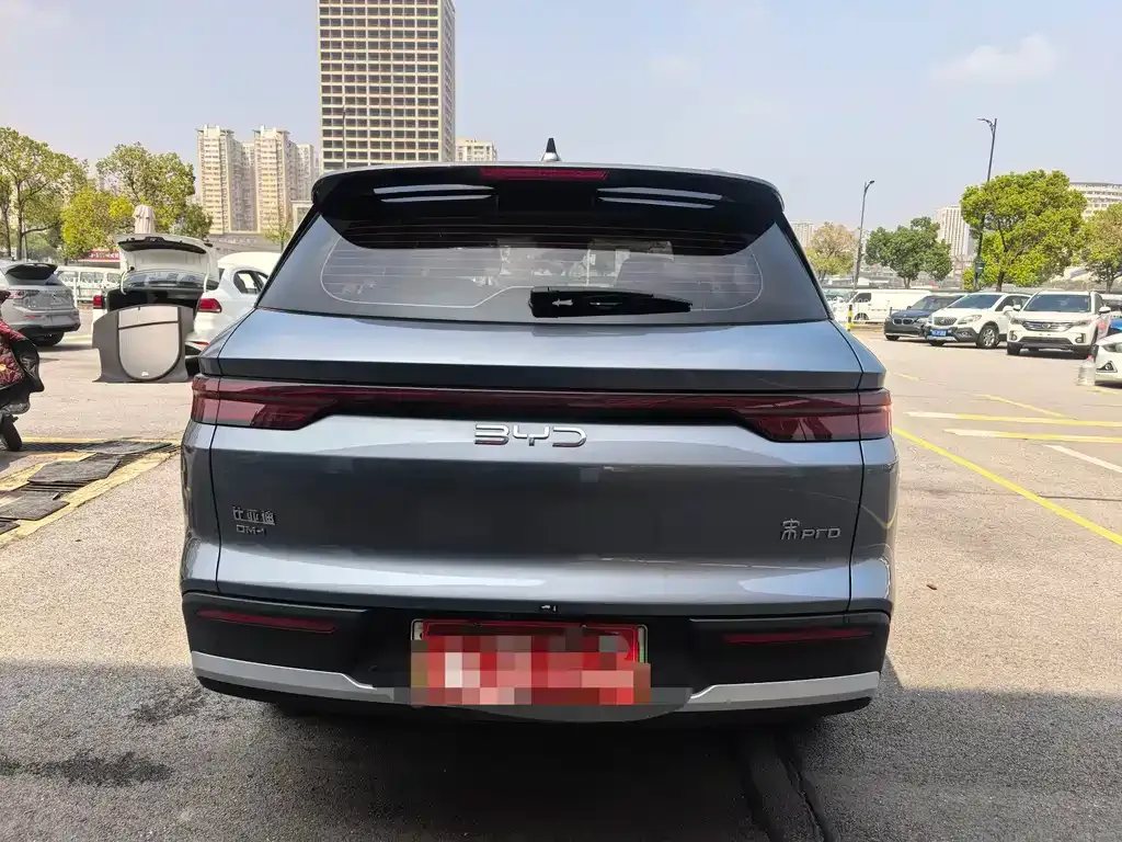 BYD Pro New Energy — фото 2