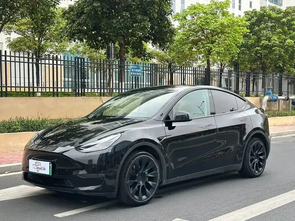Tesla Model Y 2022 из CN, фото 1