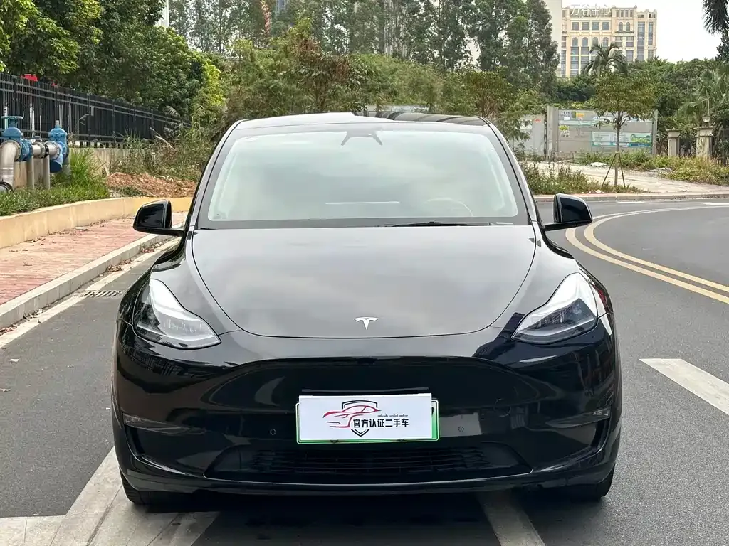 Tesla Model Y 2022 из CN, фото 5