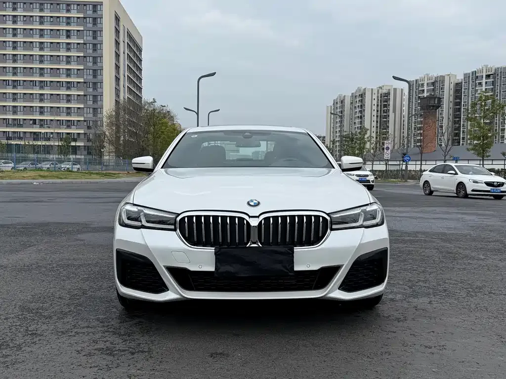 BMW 5 Series 2022 из CN, фото 10
