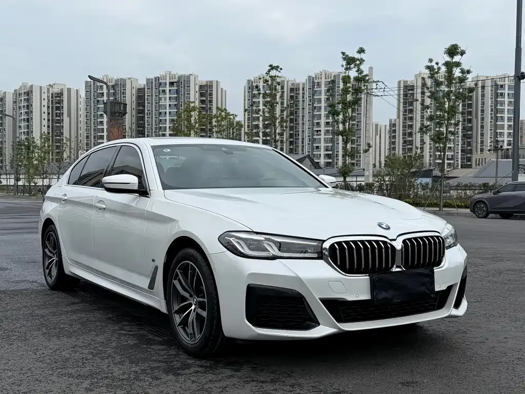 BMW 5 Series 2022 из CN, фото 7