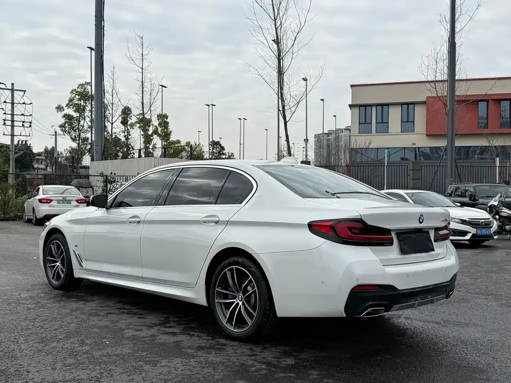 BMW 5 Series 2022 из CN, фото 5