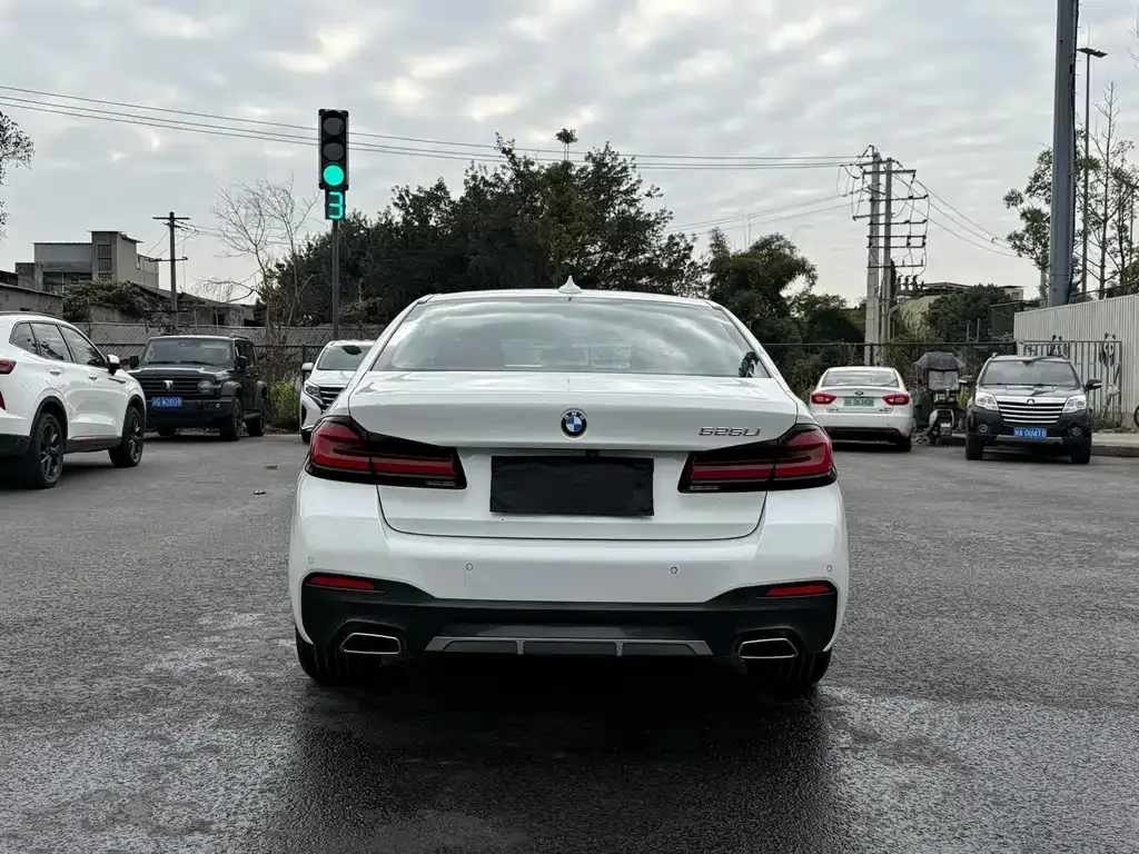 BMW 5 Series 2022 из CN, фото 9