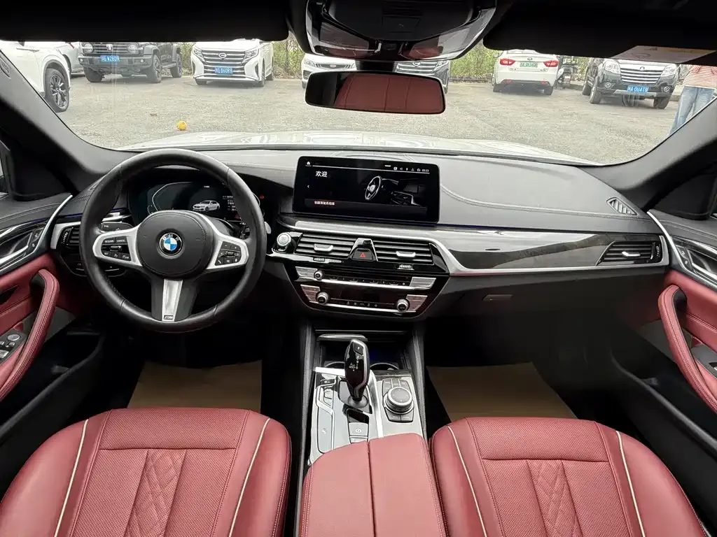 BMW 5 Series 2022 из CN, фото 4
