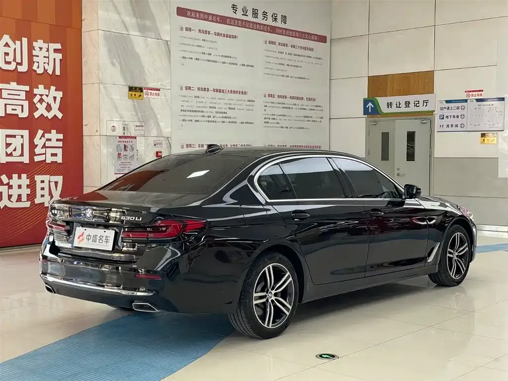 BMW 5 Series 2023 из CN, фото 6