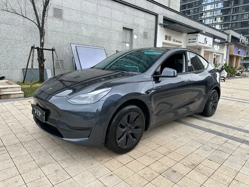 Tesla Model Y — фото 10