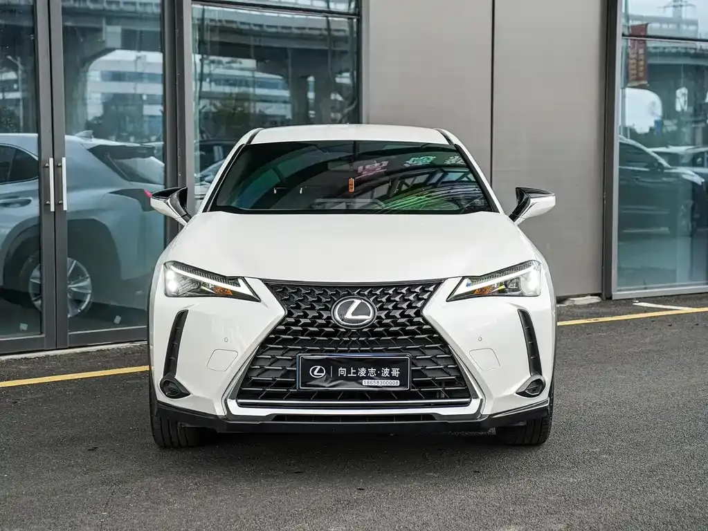 Lexus UX 2023 из CN, фото 8