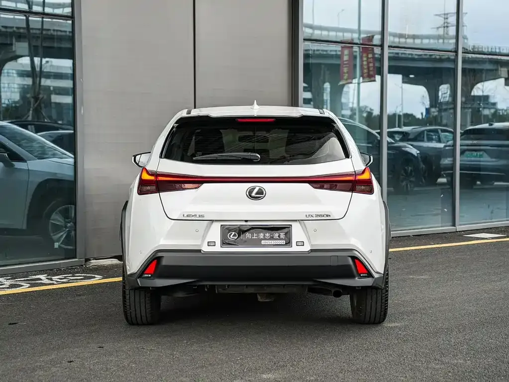 Lexus UX 2023 из CN, фото 10