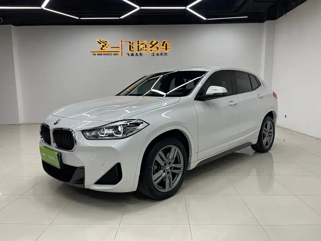BMW X2 — фото 1